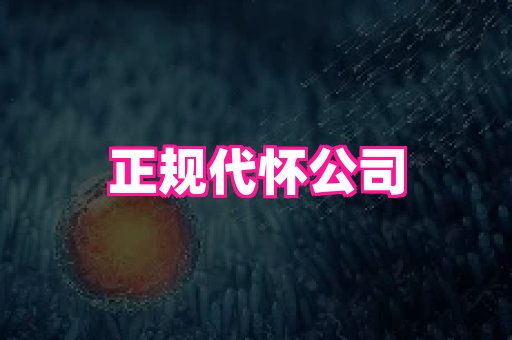 swisee孕网 1