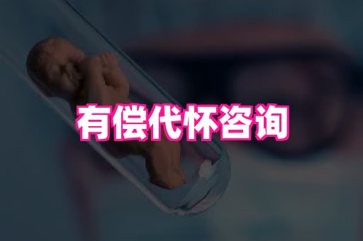 swisee孕网 3
